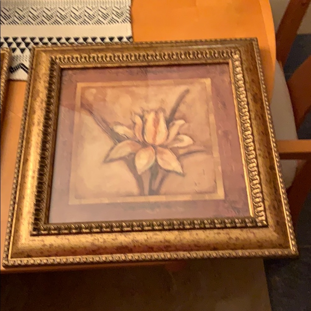 Floral Pictures